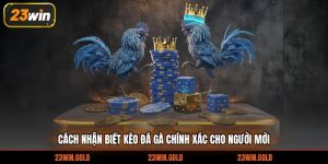 cách nhận biết kèo đá gà