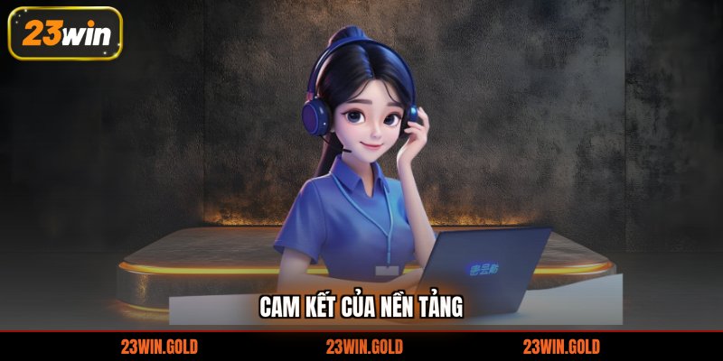 Cam kết của nền tảng