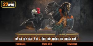 đá gà cựa sắt là gì