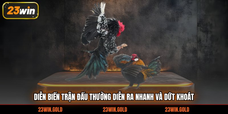 Diễn biến trận đấu thường diễn ra nhanh và dứt khoát