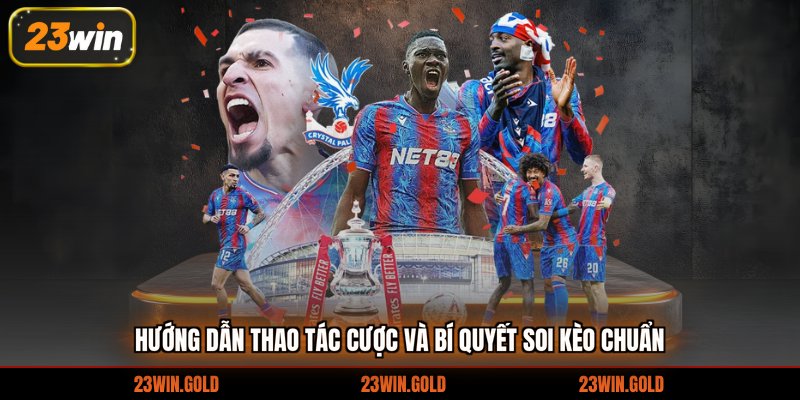 Hướng dẫn thao tác cược và bí quyết soi kèo chuẩn