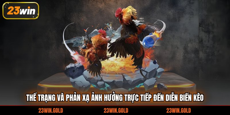 Thể trạng và phản xạ ảnh hưởng trực tiếp đến diễn biến kèo